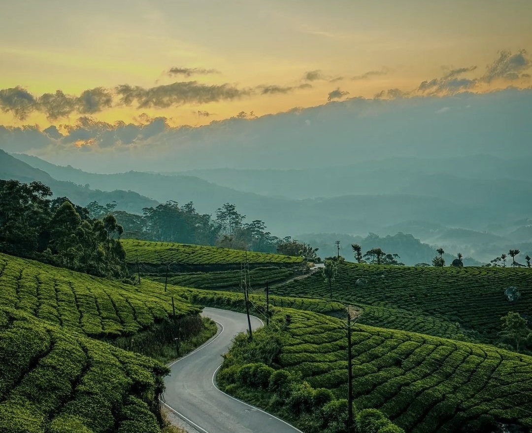 Munnar Kerala